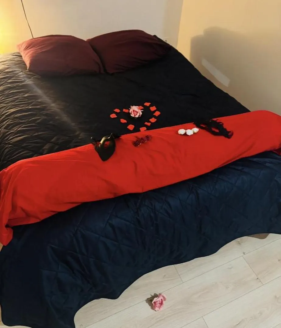 Apartament Coeur De Ville Jacuzzi Retroprojecteur Terrasse Petit Dejeuner Love Room Saint-Etienne  Francja